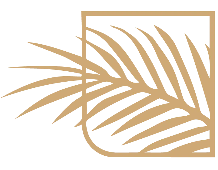 Palm 'n Patterns
